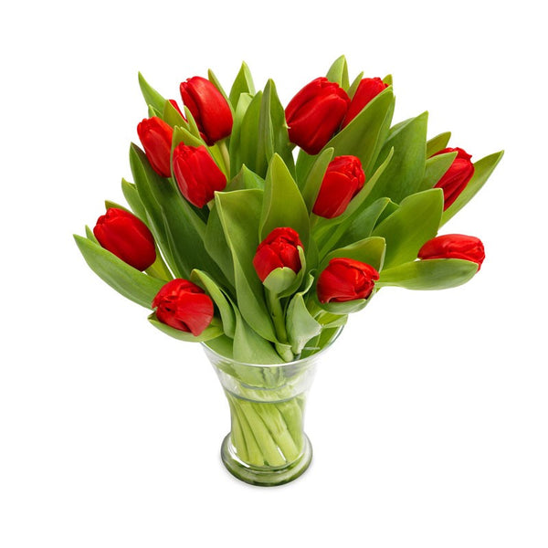 boeket rode tulpen
