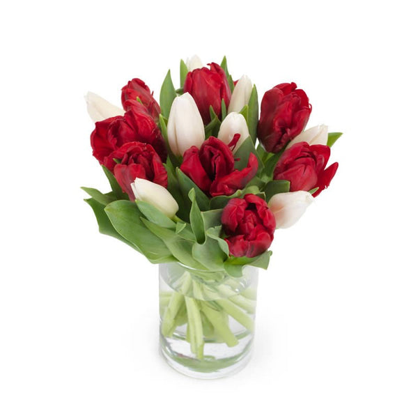 boeket rood/wit tulpen