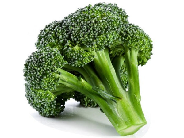 Hollandse Broccoli