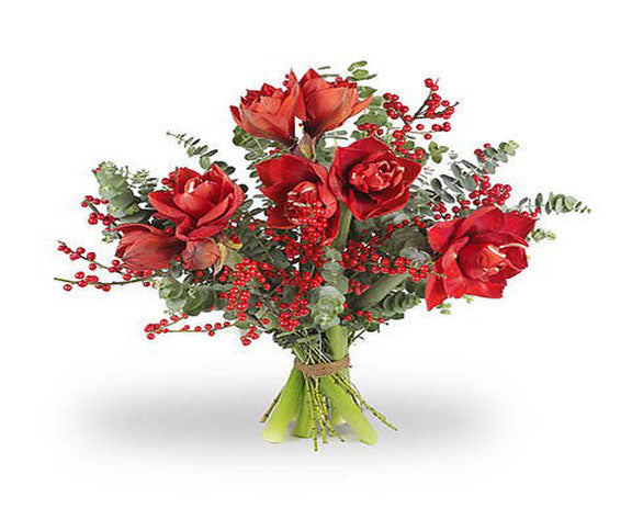 Boeket Amaryllis